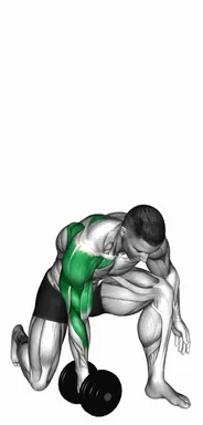 Dumbbell Half Kneeling Single Arm Clean Press demo