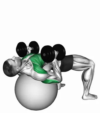 Dumbbell Hammer Press on Exercise Ball demo