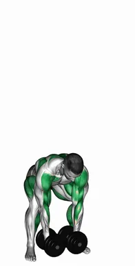 덤벨 행 스내치 자세 시연