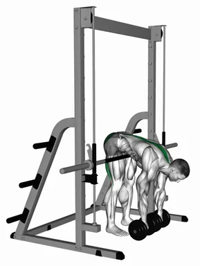 Dumbbell Hip Supported Romanian Deadlift demo