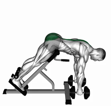 Dumbbell Hyperextension (VERSION 2) demo