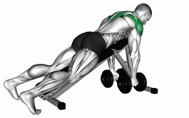 Dumbbell Incline Alternate Reverse Fly demo