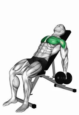 Dumbbell Incline Alternating Cross Raise demo