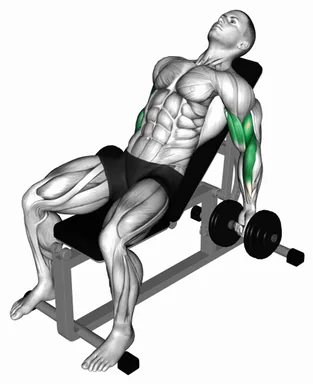 Dumbbell Incline Curl II demo