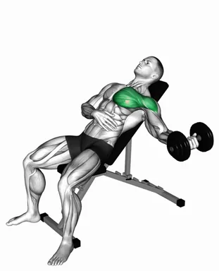 Dumbbell Incline One Arm Fly demo
