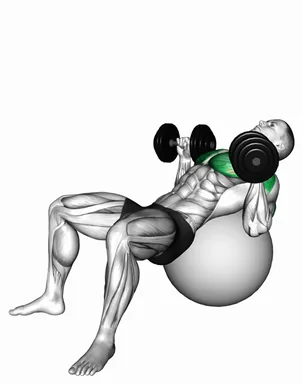 Dumbbell Incline Press on Exercise Ball demo