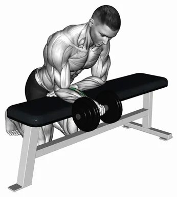 Dumbbell Isometric Wrist Flexion over Bench demo