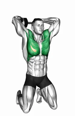 Dumbbell Kneeling Around Head Rotation demo