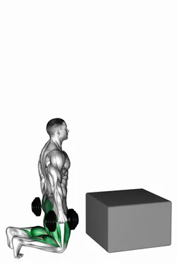 Dumbbell Kneeling to Jump Box demo