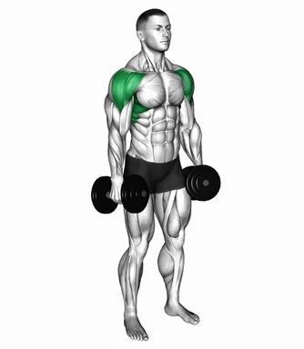 Dumbbell Lateral Pulse Raise demo