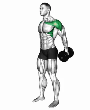 Dumbbell Lateral Raise from Back demo