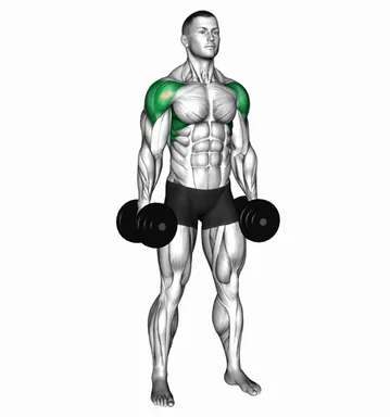 Dumbbell Lateral Raise Hold demo