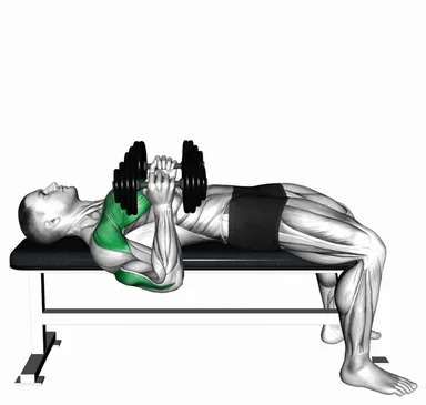Dumbbell Lying Elbow Press demo