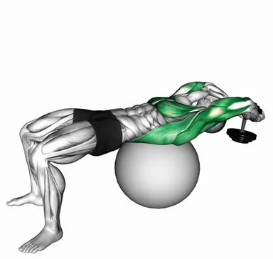 Dumbbell Lying Pullover on Exercise Ball demo