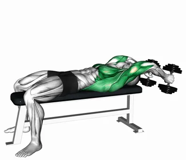 Dumbbell Lying Straight Arms Pullover demo