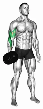 Dumbbell One Arm Standing Hammer Curl demo