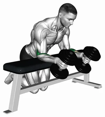 Dumbbell Over Bench Neutral Wrist Curl demo