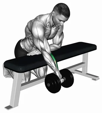Dumbbell Over Bench One Arm Reverse Wrist Curl demo