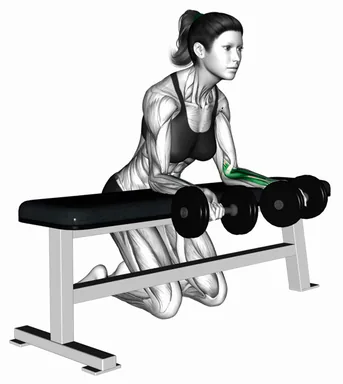 Dumbbell Over Bench Reverse Wrist Curl (Demo 2) demo