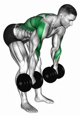 Dumbbell Rotational Grip Bent Over Row demo
