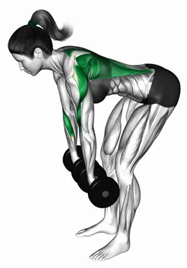 Dumbbell Pronated to Neutral Grip Row demo