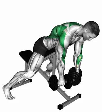Dumbbell Prone Incline Flexion Row demo