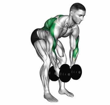 Dumbbell Rear Delt Fly and Row demo
