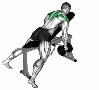 Dumbbell Reverse Fly demo