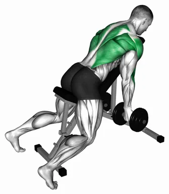Dumbbell Reverse Grip Incline Bench Two Arm Row demo