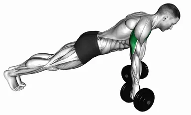 Dumbbell Reverse Push-Up demo