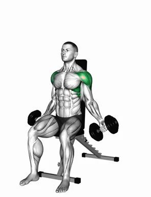 Dumbbell Seated Around the World demo