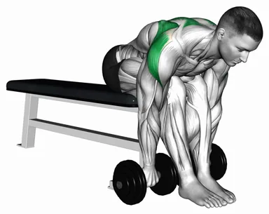 Dumbbell Seated Bent Over Rear Delt Row demo