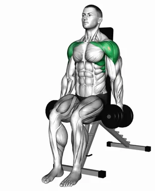 Dumbbell Seated Front Raise with Twist demo