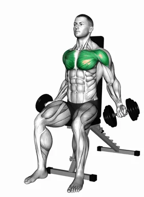 Dumbbell Seated Hyght Fly demo