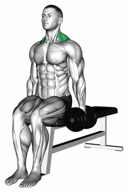 Dumbbell Seated Shrug demo