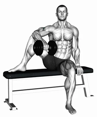 Dumbbell Seated Single Arm External Rotation demo