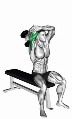 Dumbbell Seated Single Arm Overhead Triceps Extension demo