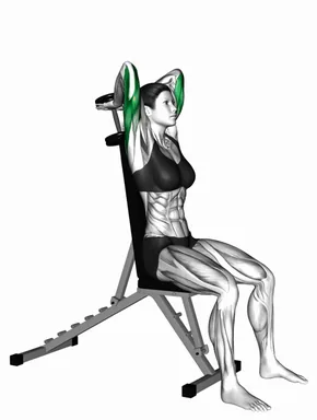 Dumbbell Seated Triceps Extension (VERSION 2) demo