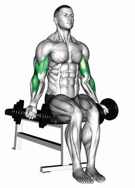 Dumbbell Seated Zottman Curl demo