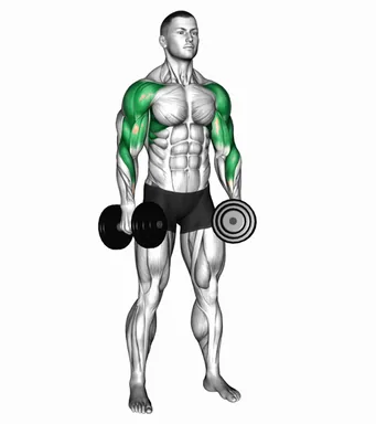 Dumbbell Shoulders Complex demo