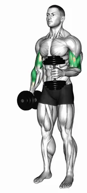 Dumbbell Single Arm Curl with Isometric Hold demo