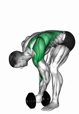 Dumbbell Single Arm Pendlay Row demo