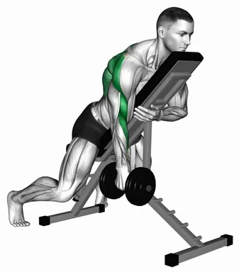Dumbbell Single Arm Row with Chest Supported demo