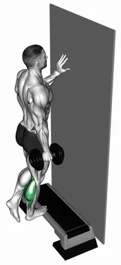 Dumbbell Single Leg Calf Raise Off Step demo