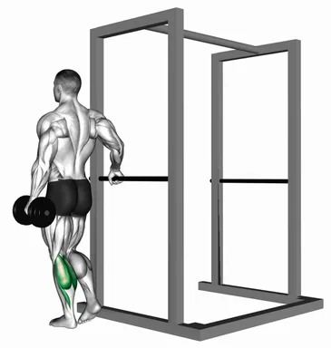 Dumbbell Single Leg Calf Raise demo