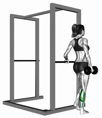 Dumbbell Single Leg Calf Raise (VERSION 2) demo