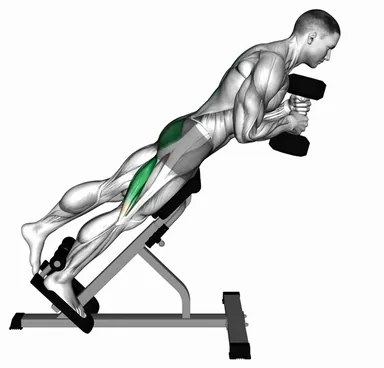 Dumbbell Single Leg Hyperextension demo