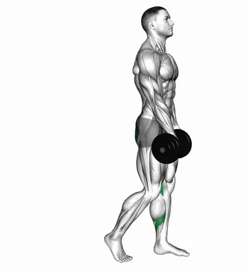 Dumbbell Single Leg Romanian Deadlift Leg Raise demo