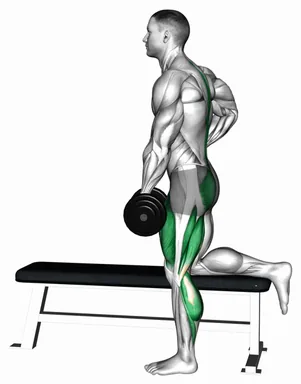 Dumbbell Single Leg Romanian Deadlift on Bench (Demo 2) demo
