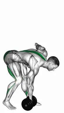 Dumbbell Single Leg Romanian Deadlift demo